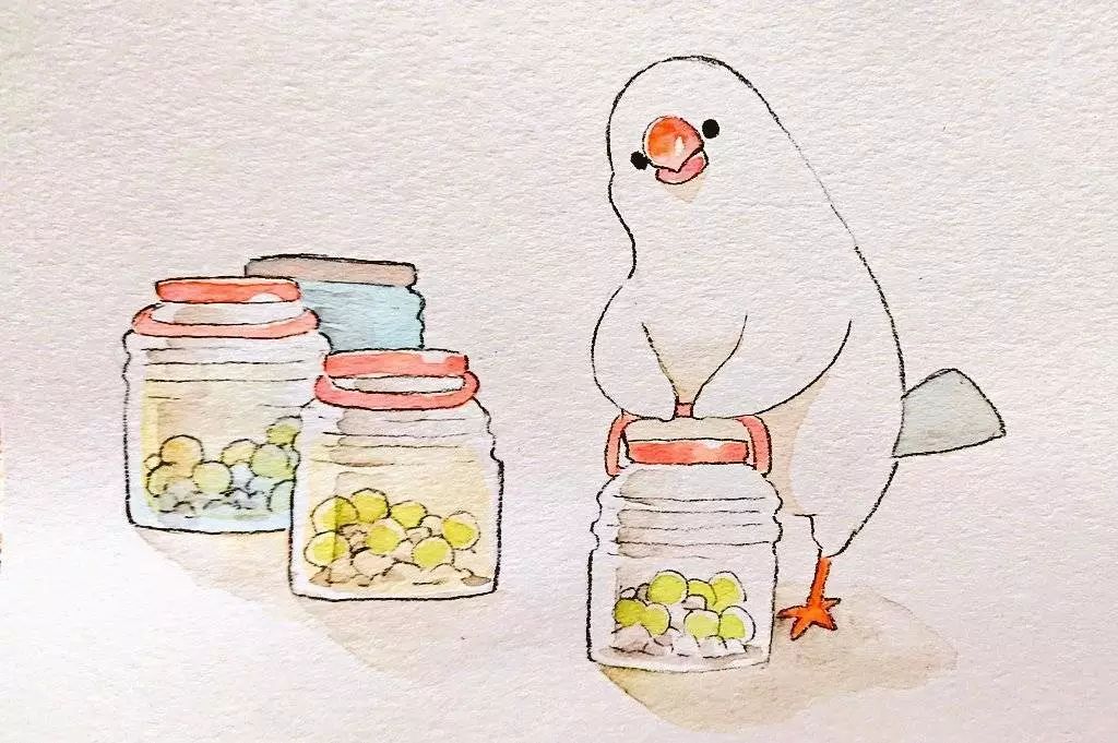 插画皮皮又可爱的文鸟