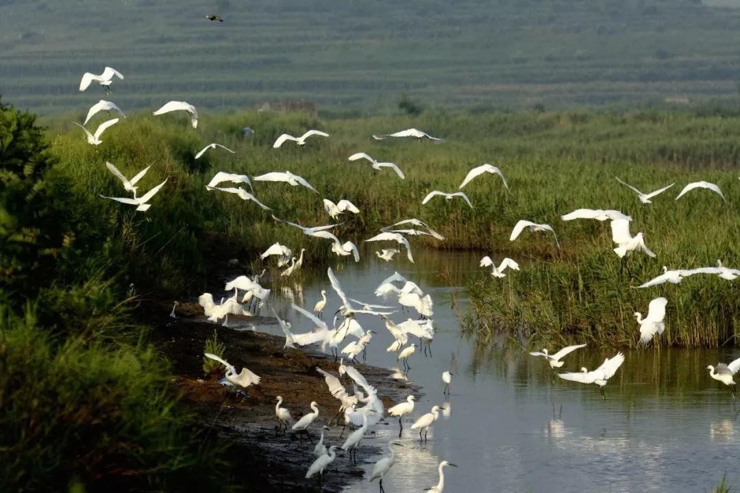 天相接,顯得更加清澈寧靜陽光下的黃水河溼地公園一碧萬頃湖闊數千裡