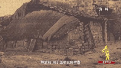 #经济之声#当年，这种病威胁1亿中国人，半个村人口被它吞噬！如今我们再也不发愁了……