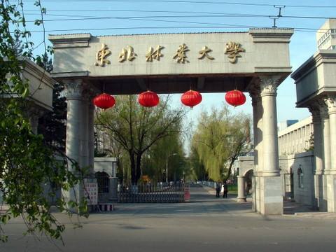 北京大学占地面积图片