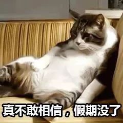 #海南日报#醒醒！明天就要上班了！这几条消息先了解一下……