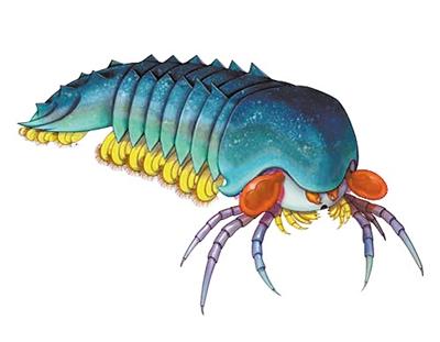 [经济日报]呃……蝎子、蜘蛛的老祖宗，竟是个“大眼萌”！