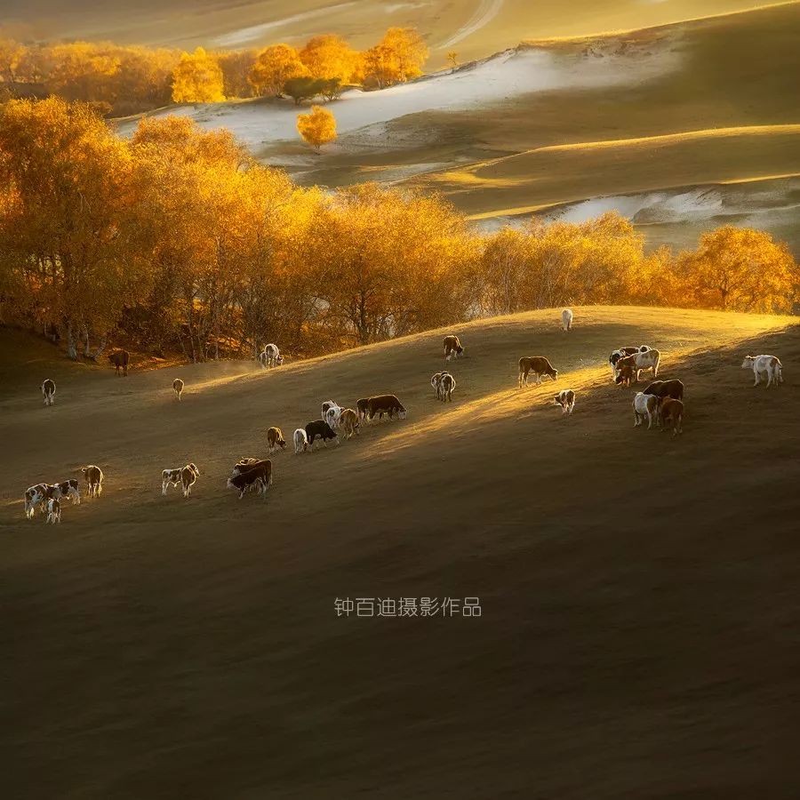 20张光影摄影作品道尽寒露