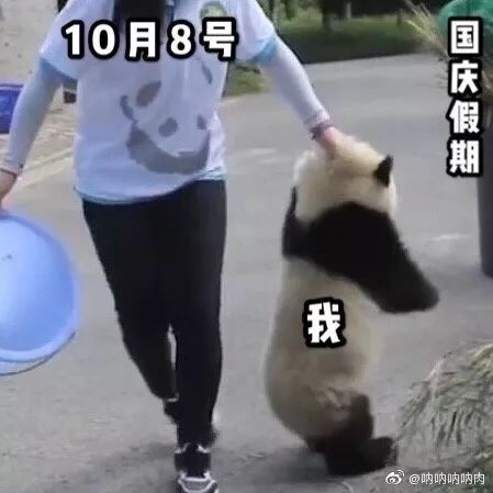 荆楚网■“妈，真的塞不下了……” “还能再塞点！”