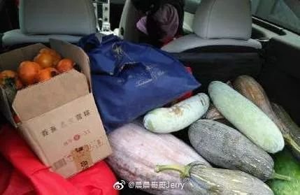 「半岛晨报」网友狂晒返程后备箱！有父母放了一头猪进去……