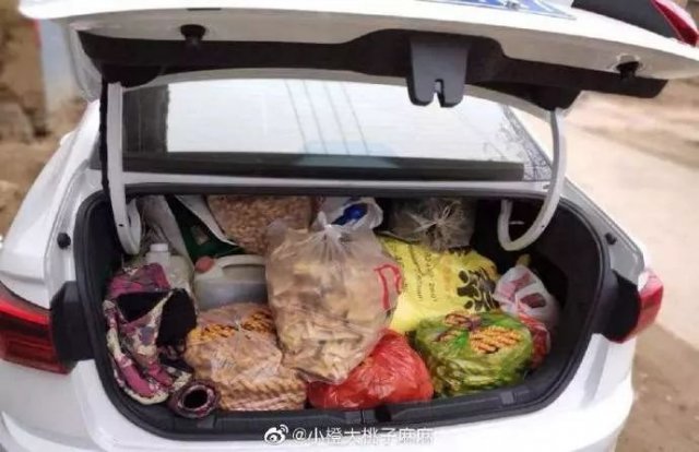 「半岛晨报」网友狂晒返程后备箱！有父母放了一头猪进去……