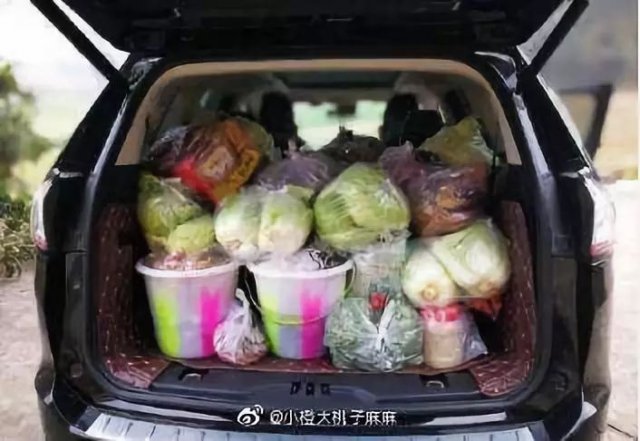 「半岛晨报」网友狂晒返程后备箱！有父母放了一头猪进去……