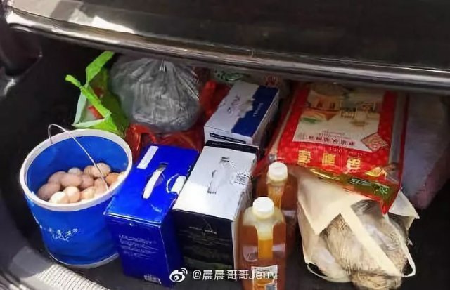 「半岛晨报」网友狂晒返程后备箱！有父母放了一头猪进去……