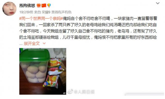 「半岛晨报」网友狂晒返程后备箱！有父母放了一头猪进去……