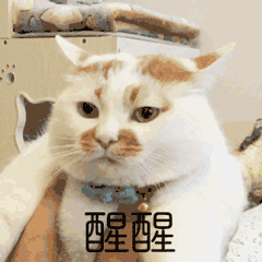 富川电视台：今天寒露！十月新规，了解一下！