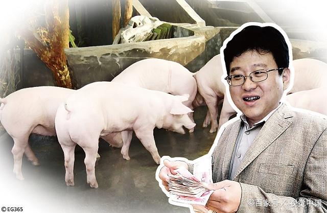 #工作生活所遇的那些事#农民创业养殖项目中的四个大坑不要去踩，否则血亏