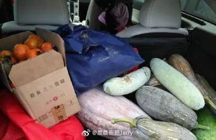 [快报盐城]网友狂晒十一返程后备厢！最夸张：父母放了一头猪进去……