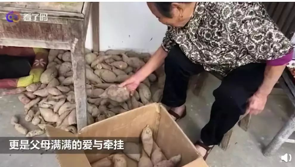 [快报盐城]网友狂晒十一返程后备厢！最夸张：父母放了一头猪进去……