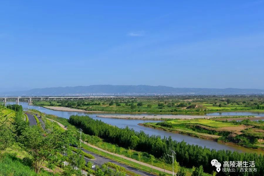 直播回放高陵区奋斗新时代阔步新征程新闻发布会