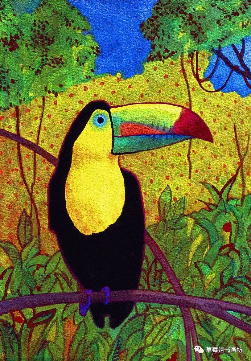 大嘴鸟创意绘画图片图片