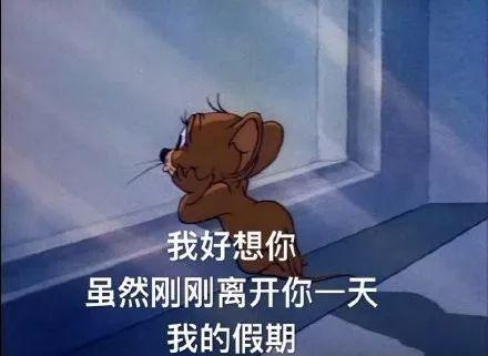「新华社新媒体」有一种爱，是妈妈装的后备箱