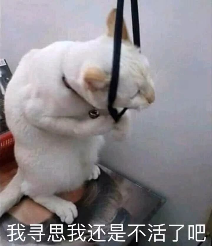 洛阳经济生活频率：十一回趟家，看着爸妈装修的房子，我哭了