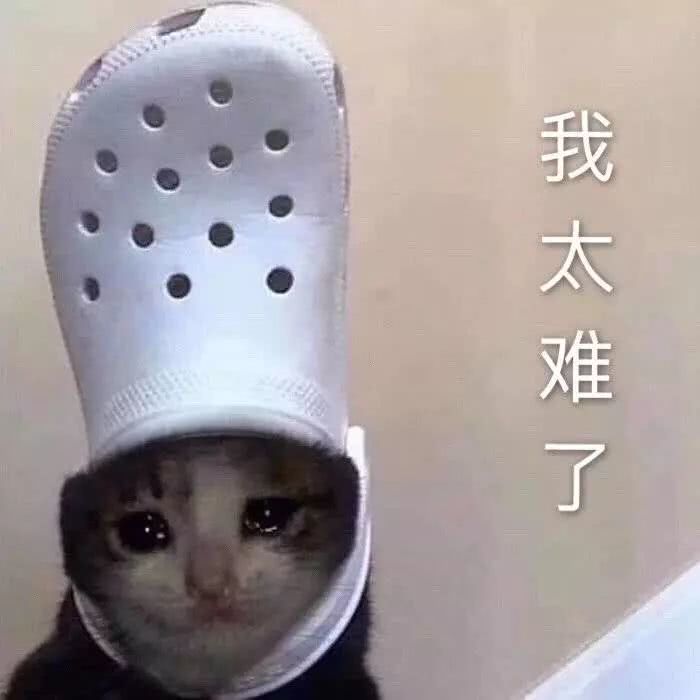 洛阳经济生活频率：十一回趟家，看着爸妈装修的房子，我哭了