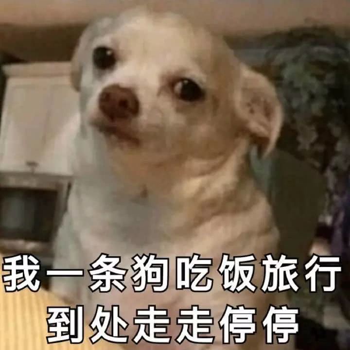 洛阳经济生活频率：十一回趟家，看着爸妈装修的房子，我哭了