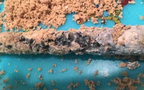 【中国质量万里行】热水器里有个小东西 不定期更换耗电量惊人！