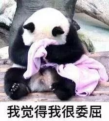 [视觉志]那些霸道总裁小说，看得我笑到头秃哈哈哈哈哈
