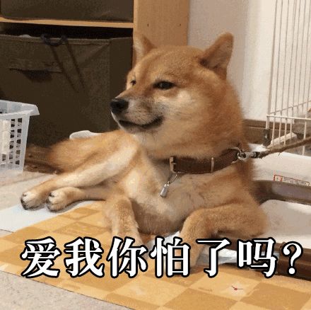 [视觉志]那些霸道总裁小说，看得我笑到头秃哈哈哈哈哈