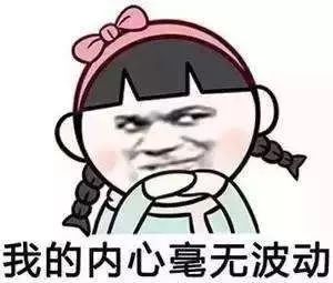 [视觉志]那些霸道总裁小说，看得我笑到头秃哈哈哈哈哈