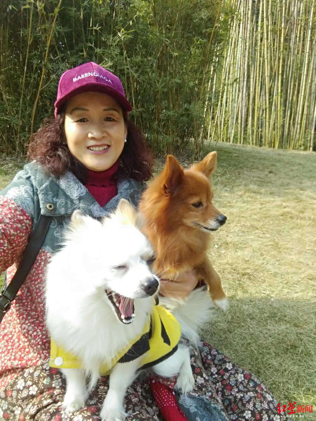 红星新闻：一碗“人参根根”汤 自贡婆婆昏迷至今仍在ICU