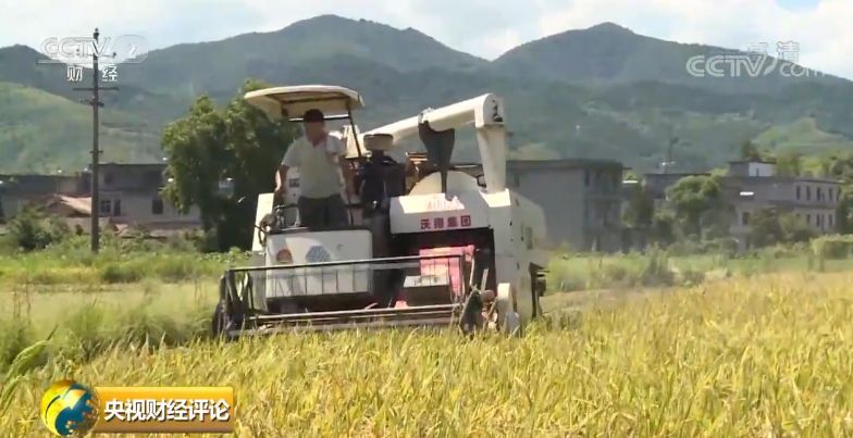「中国质量万里行」时隔23年，中国再次发表粮食白皮书！释放哪些新信号？