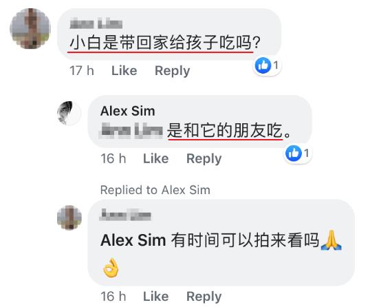 「半岛晨报」小狗每天来店“点餐”打包回去和朋友一起吃，好心店主走红