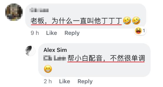 「半岛晨报」小狗每天来店“点餐”打包回去和朋友一起吃，好心店主走红