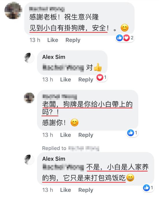 「半岛晨报」小狗每天来店“点餐”打包回去和朋友一起吃，好心店主走红