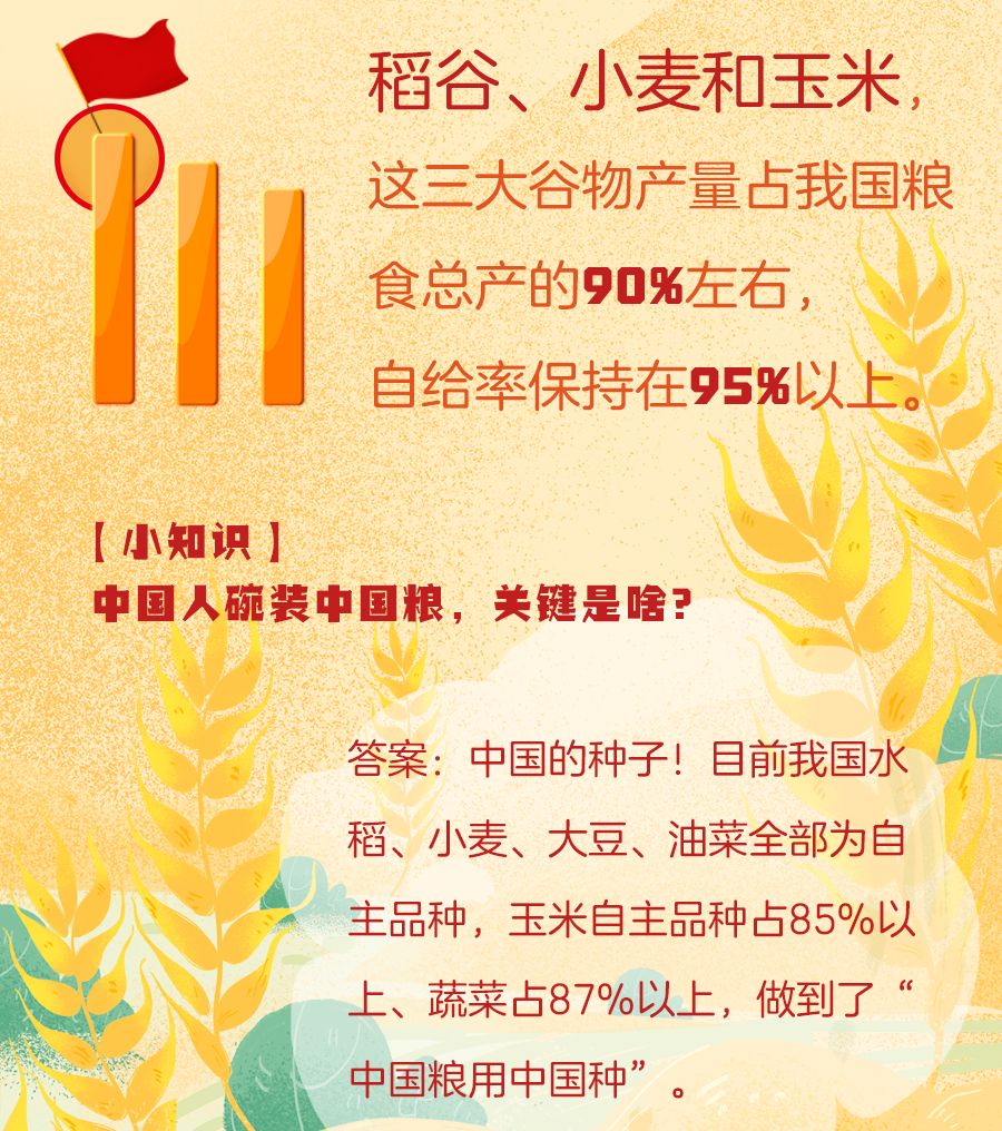 [经济日报]中国人的肚子是怎么填饱的？