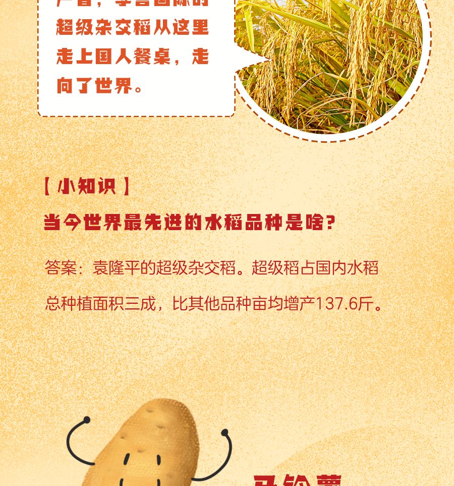 [经济日报]中国人的肚子是怎么填饱的？