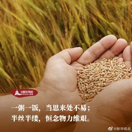 中国计划生育协会@世界粮食日｜品品这些关于粮食的名言名句，你知道多少？