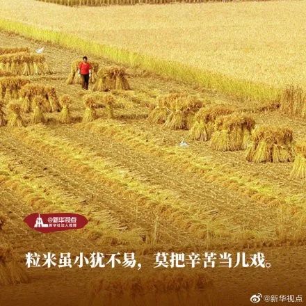 中国计划生育协会@世界粮食日｜品品这些关于粮食的名言名句，你知道多少？