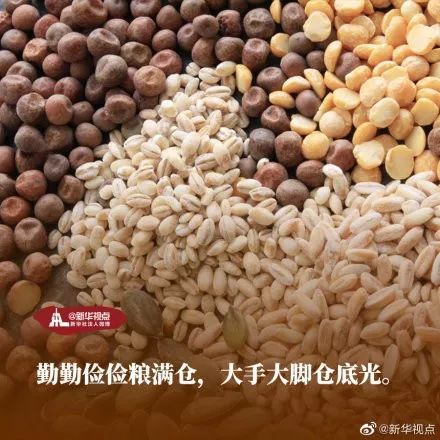 中国计划生育协会@世界粮食日｜品品这些关于粮食的名言名句，你知道多少？