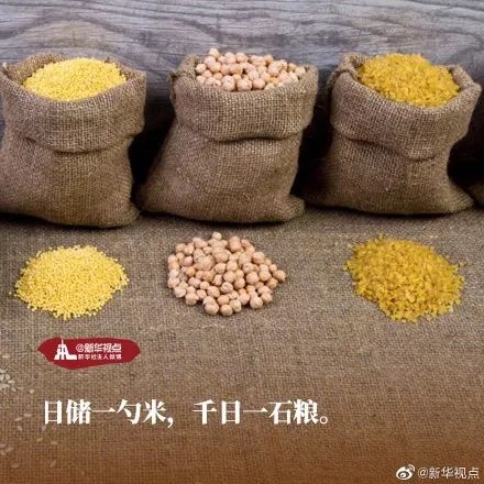 中国计划生育协会@世界粮食日｜品品这些关于粮食的名言名句，你知道多少？