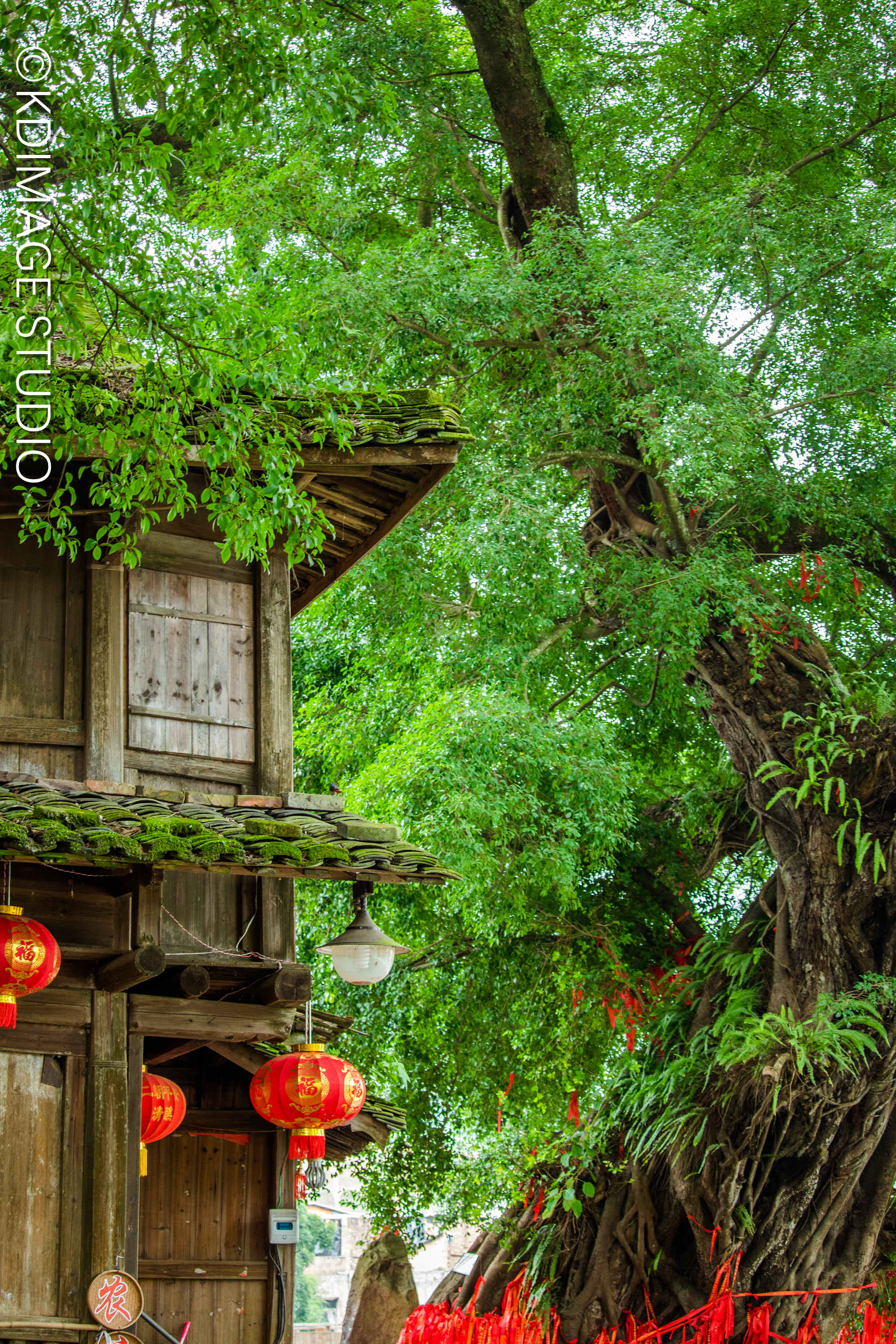 因為電視劇《雲水謠》讓這裡名聲大噪