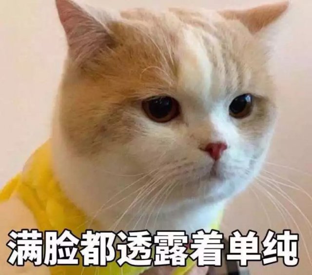 「半岛晨报」90后姑娘接到陌生电话后损失惨重！近期有不少人上了这种当