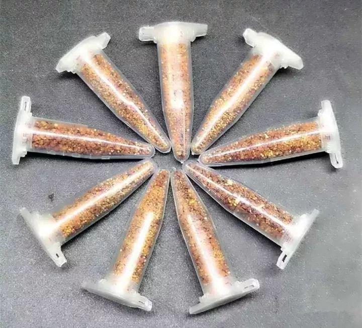 养花大全■多肉开花也能是好事儿？别剪了，还能卖个大价钱！