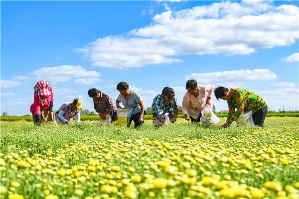 「中央纪委国家监委网站」镜头｜全力打赢精准脱贫攻坚战
