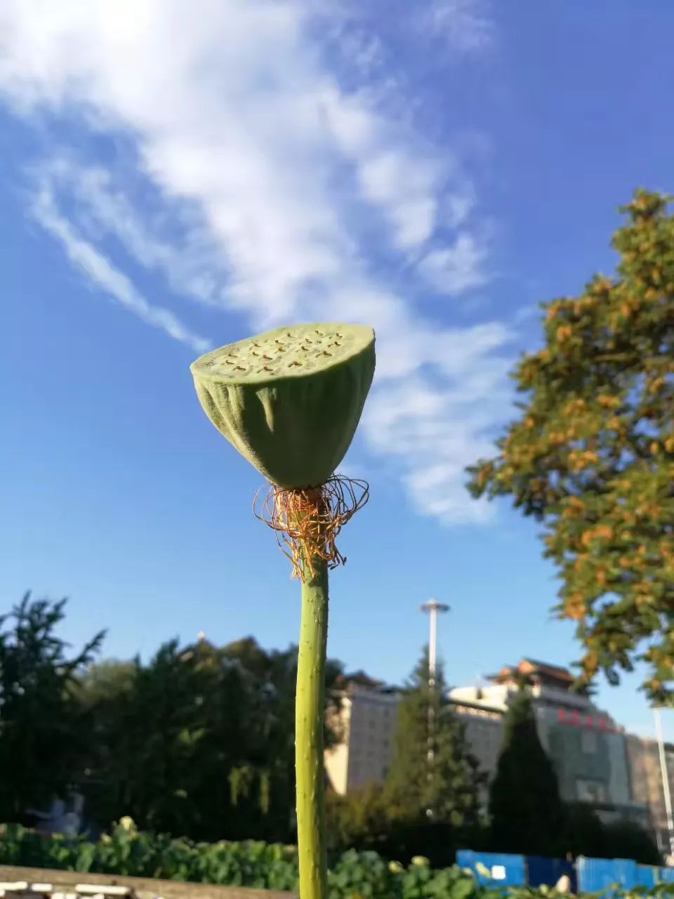 【北京科协】生动的教科书！北京“颜值爆表”背后竟藏着这些秘密……｜“70年我与新中国同行”数解北京系列