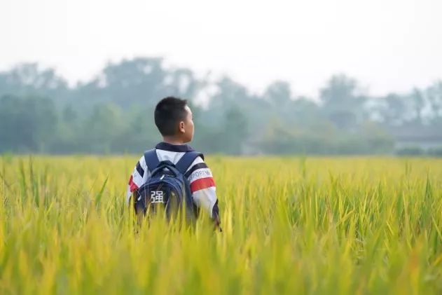 「中国质量万里行」推荐一部微电影，保准你笑到哭