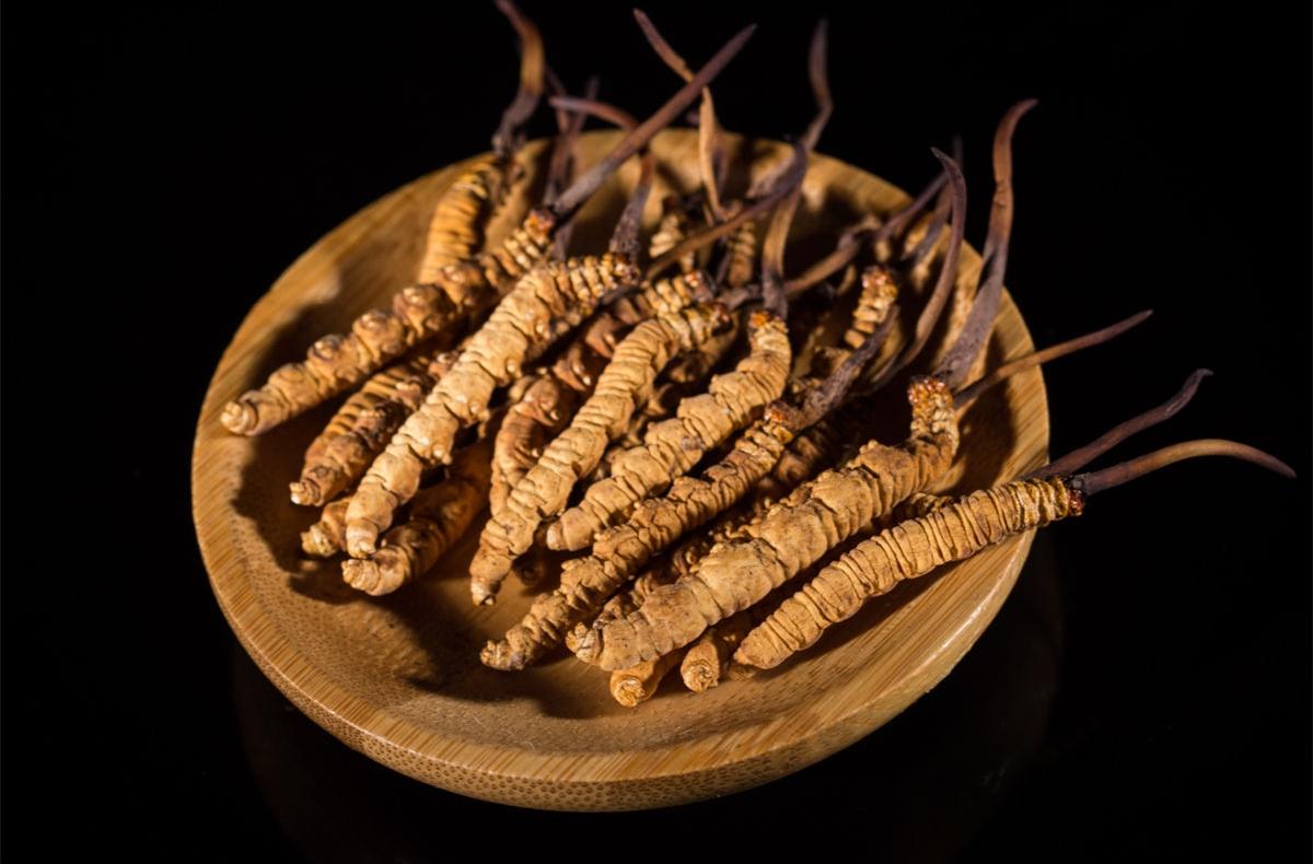 [中国质量万里行]比黄金还贵的冬虫夏草，被国家食药监除名，30年的骗局就此瓦解