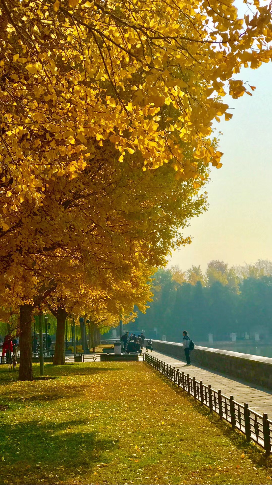 老舍说北京的秋天像天堂请跟着我的脚步去故宫寻找天堂秋色吧