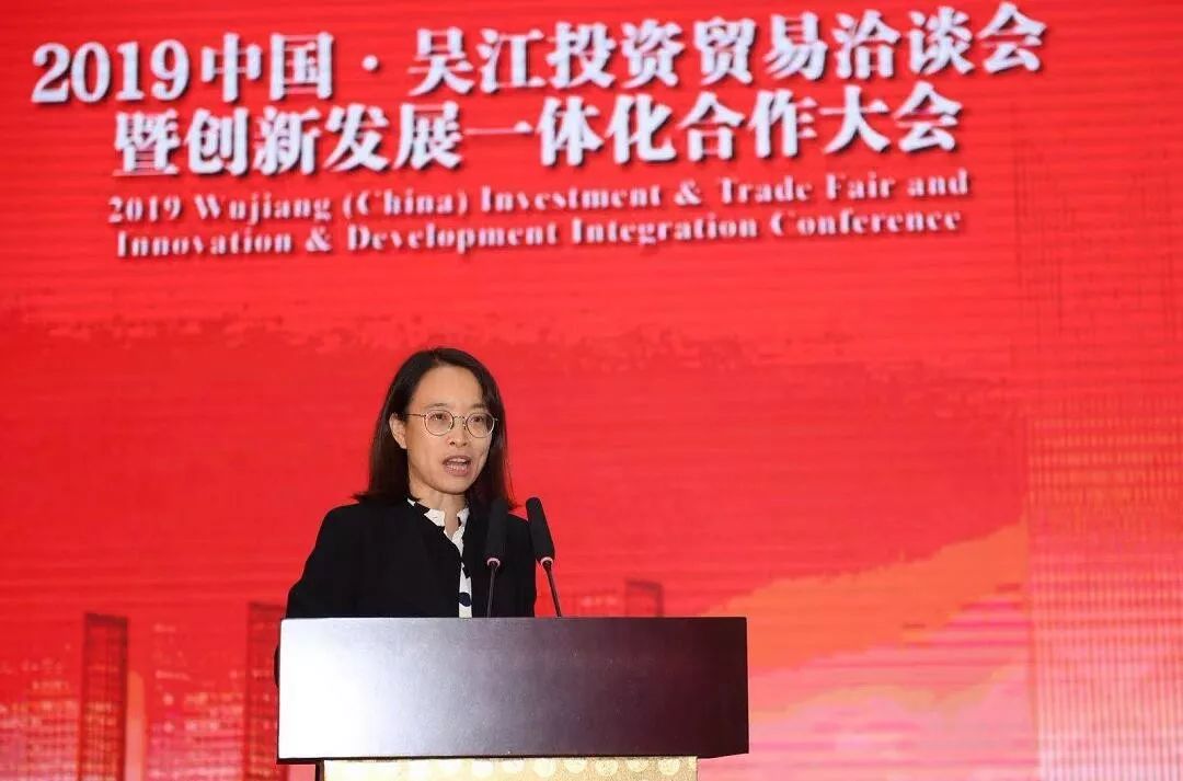 中科院南京地理与湖泊研究院区域人文经济地理研究室主任陈雯,上海市