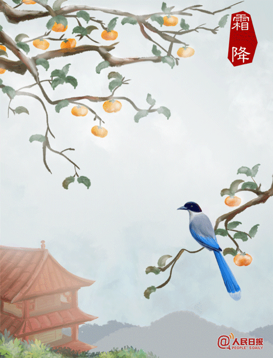 【渭南青年网】今日霜降：入冬前最重要的日子