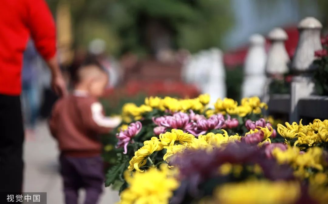 【渭南青年网】今日霜降：入冬前最重要的日子