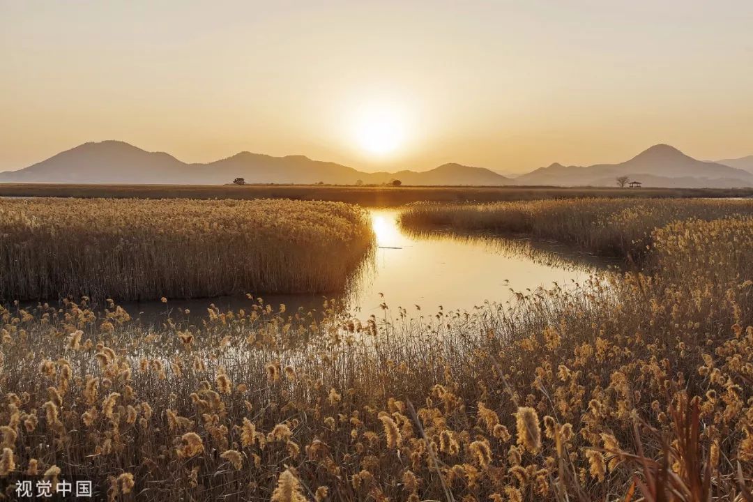 【渭南青年网】今日霜降：入冬前最重要的日子